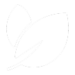 Rectangle_2759_1.png