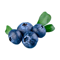image-Photoroom - 2025-08-29T150439.772 2 1