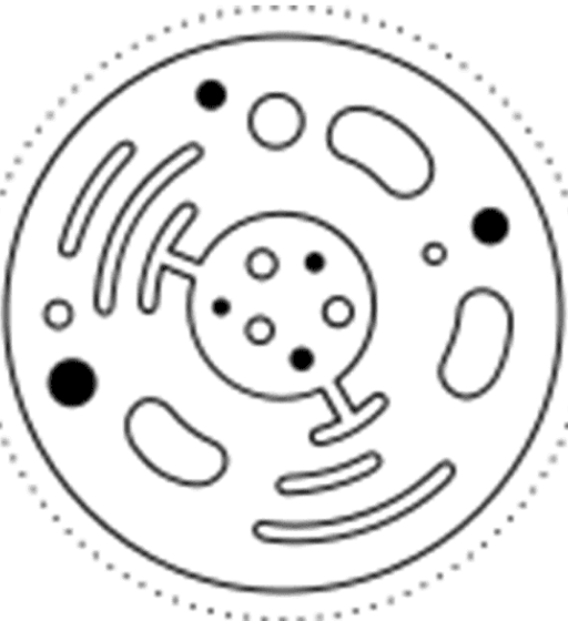 imgi 24 opt1 777x c5d13943-7e9e-49dd-a8a7-cceb2c11bd83